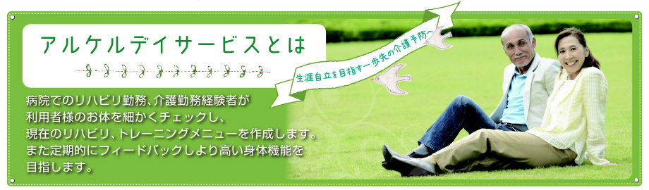 �A���P���f�C�T�[�r�X�Ƃ�