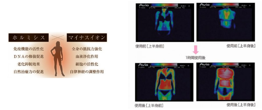 �g�[�^���r���[�e�B�[�T���� ARK�@�t�F�A���[���F�[�� �v���~�A��