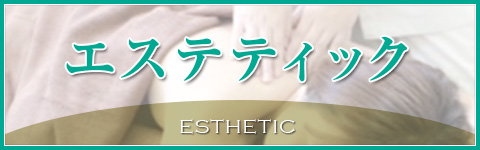 �G�X�e�e�B�b�N