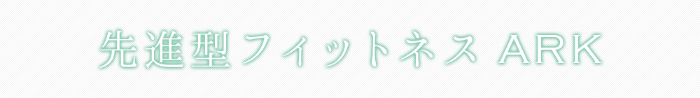 ��i�^�t�B�b�g�l�XARK